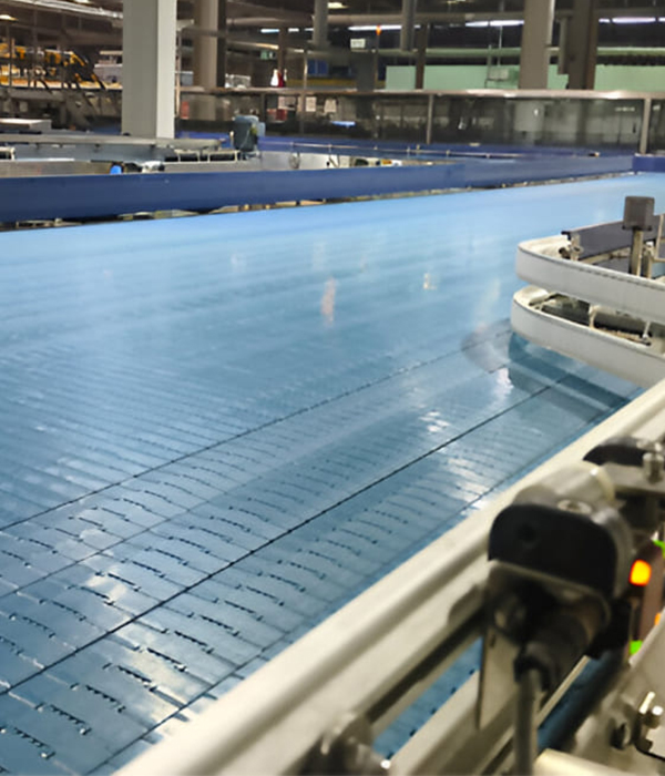 Straight Running Conveyor2